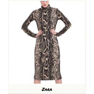 Zara | Snake Print Turtleneck Midi Dress